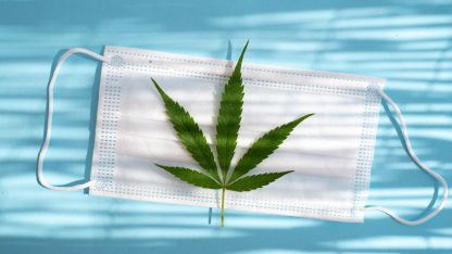Maconha e Covid-19: Estudos indicam que o canabidiol pode ajudar no tratamento e pós doença