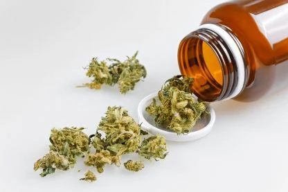 Maconha, fibromialgia e dor crônica: THC e CBD são aliados na melhora dos sintomas