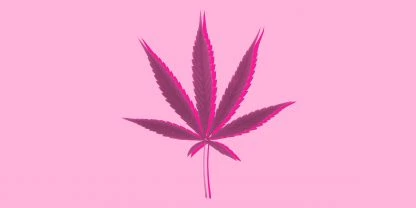 Menstruação e maconha: cólicas, enjoos, tensão pré-menstrual, menopausa e cannabis – Entenda essa relação