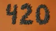 420 e cannabis