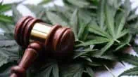 descriminalização e legalização