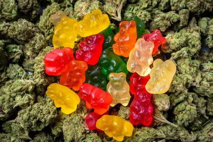 Maconha na dieta para emagrecer? Conheça o THCV, canabinoide que pode inibir o apetite