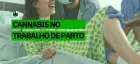 Cannabis no parto: perspectivas da ciência e de relatos de gestantes e parteiras