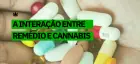 Entenda as interações medicamentosas da Cannabis e seus riscos